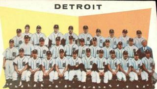 Tigers Team