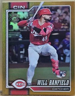 Will Banfield