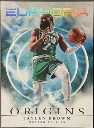Jaylen Brown #19