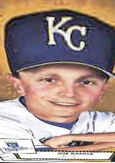 Joe Randa