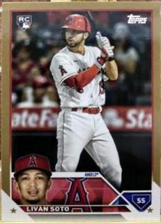 Livan Soto