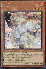 Ash Blossom & Joyous Spring [Alternate Art] QCAC-JP050