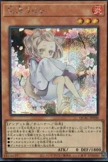 Ash Blossom & Joyous Spring QCAC-JP050