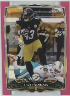 Troy Polamalu