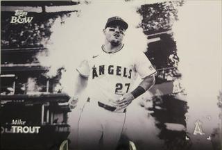 Mike Trout