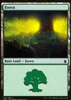 Forest