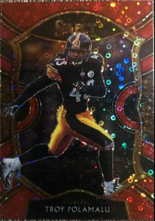 Troy Polamalu