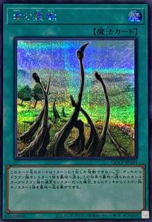 Dragon Shrine QCCP-JP194