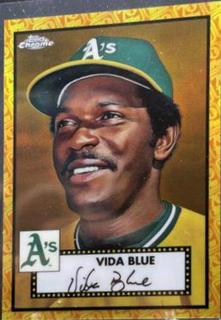 Vida Blue