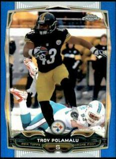 Troy Polamalu