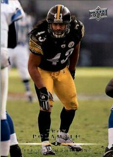 Troy Polamalu