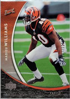 Madieu Williams