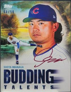 Shota Imanaga
