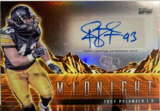 Troy Polamalu