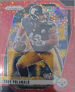 Troy Polamalu