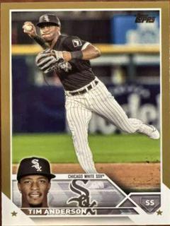 Tim Anderson