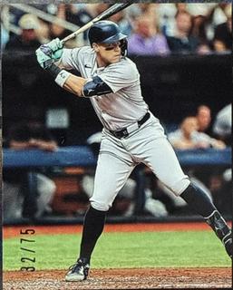 Aaron Judge