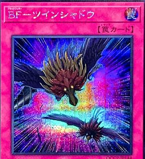 Blackwing - Twin Shadow QCCP-JP144