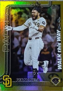 Fernando Tatis Jr.