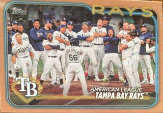 Tampa Bay Rays