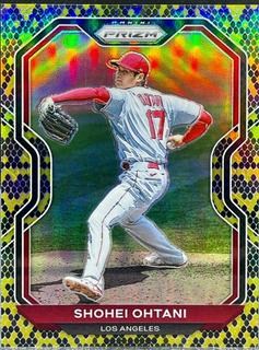 Shohei Ohtani
