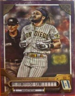 Fernando Tatis Jr.