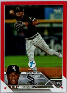 Tim Anderson
