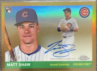 Matt Shaw