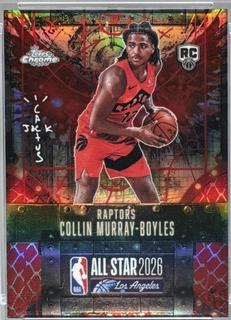 Collin Murray-Boyles