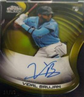 Vidal Brujan