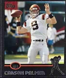 Carson Palmer