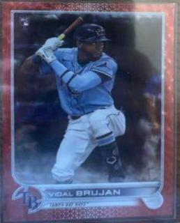 Vidal Brujan