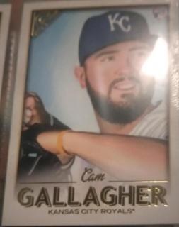Cam Gallagher