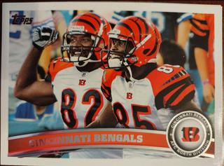 Cincinnati Bengals