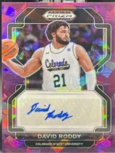 David Roddy