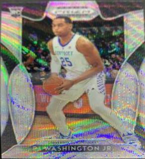 PJ Washington Jr.