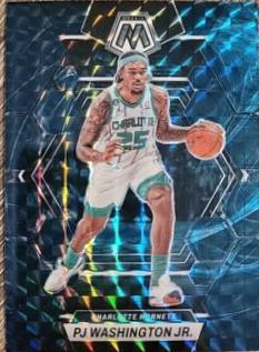 PJ Washington Jr.