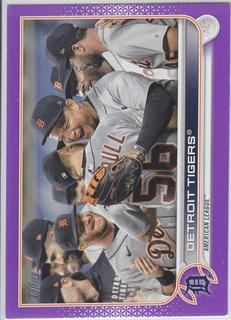Detroit Tigers