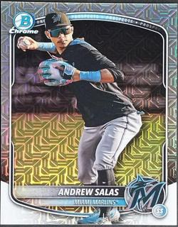 Andrew Salas