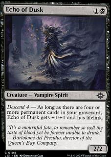 Echo of Dusk