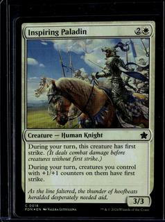Inspiring Paladin