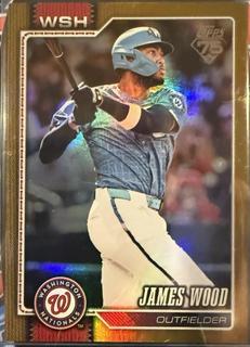 James Wood