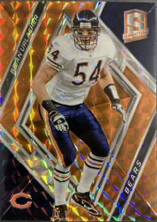 Brian Urlacher