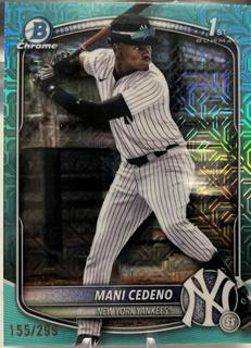 Mani Cedeno