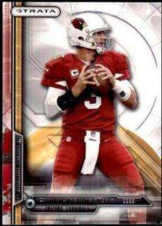 Carson Palmer