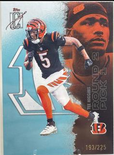 Tee Higgins