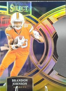 Brandon Johnson