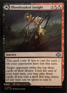 Bloodsoaked Insight // Sanguine Morass