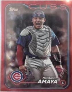 Miguel Amaya