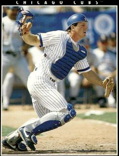 rick wilkins